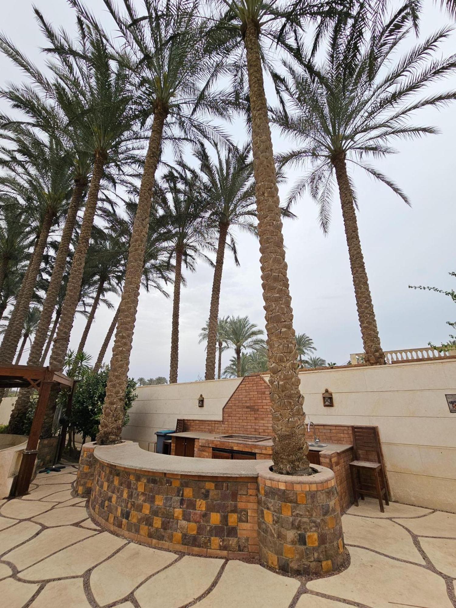 Al Mansouria Cairo