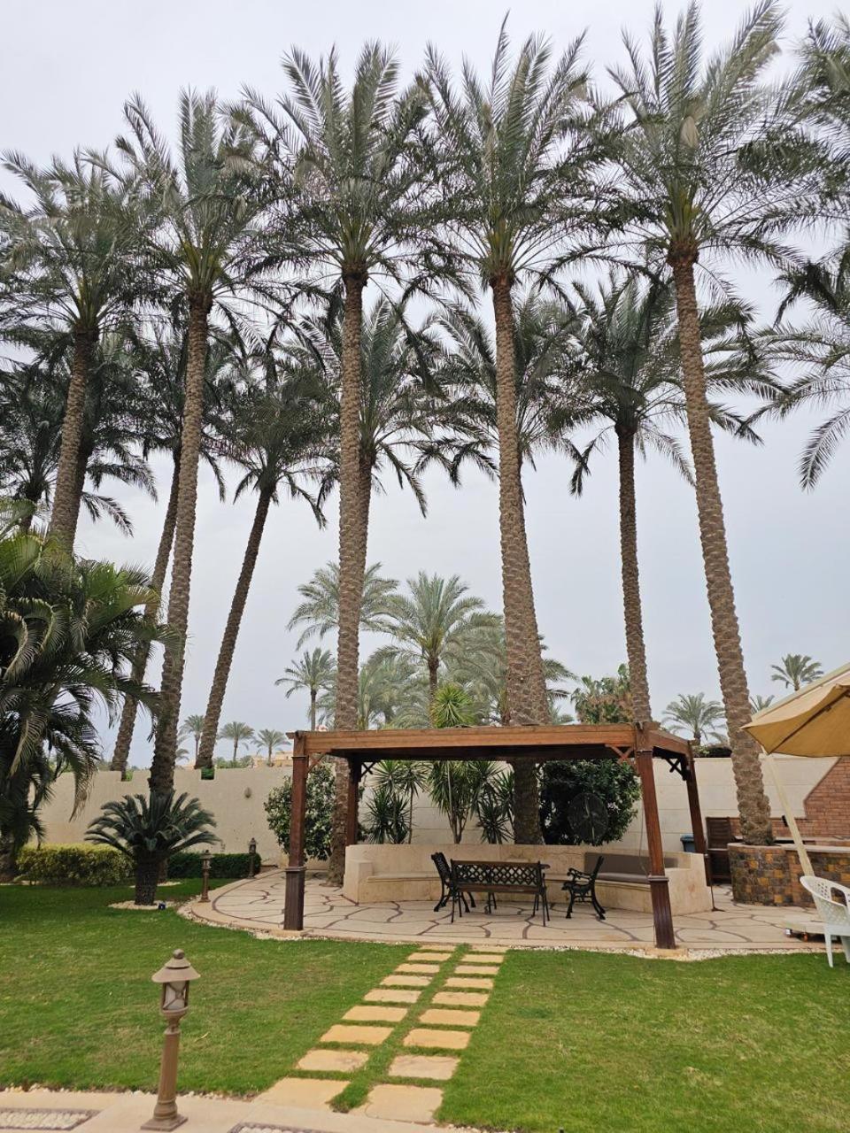 Al Mansouria Cairo